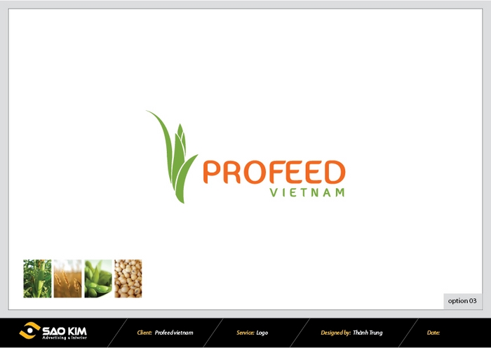 Thiết kế logo công ty Proceed Việt Nam