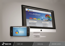 Website Leco Paint