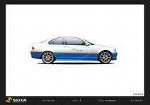 Xe oto