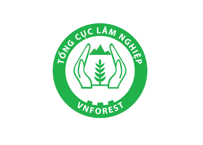 Thiết kế logo VNFOREST