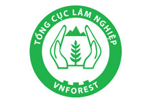 Thiết kế logo VNFOREST